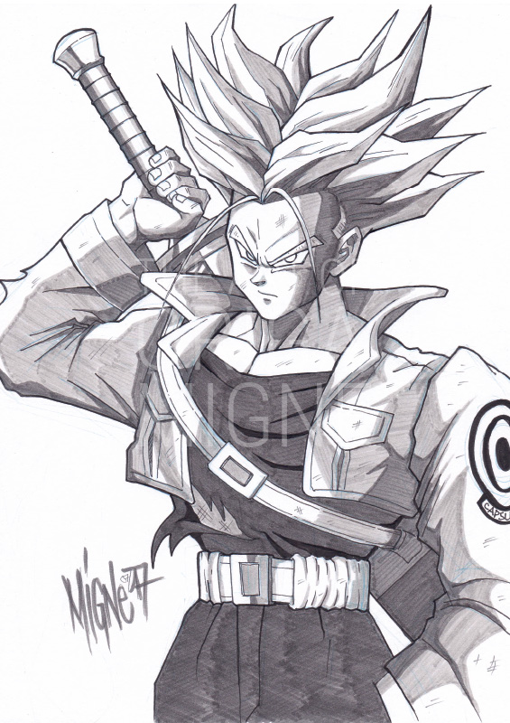  Dessin  Trunks 